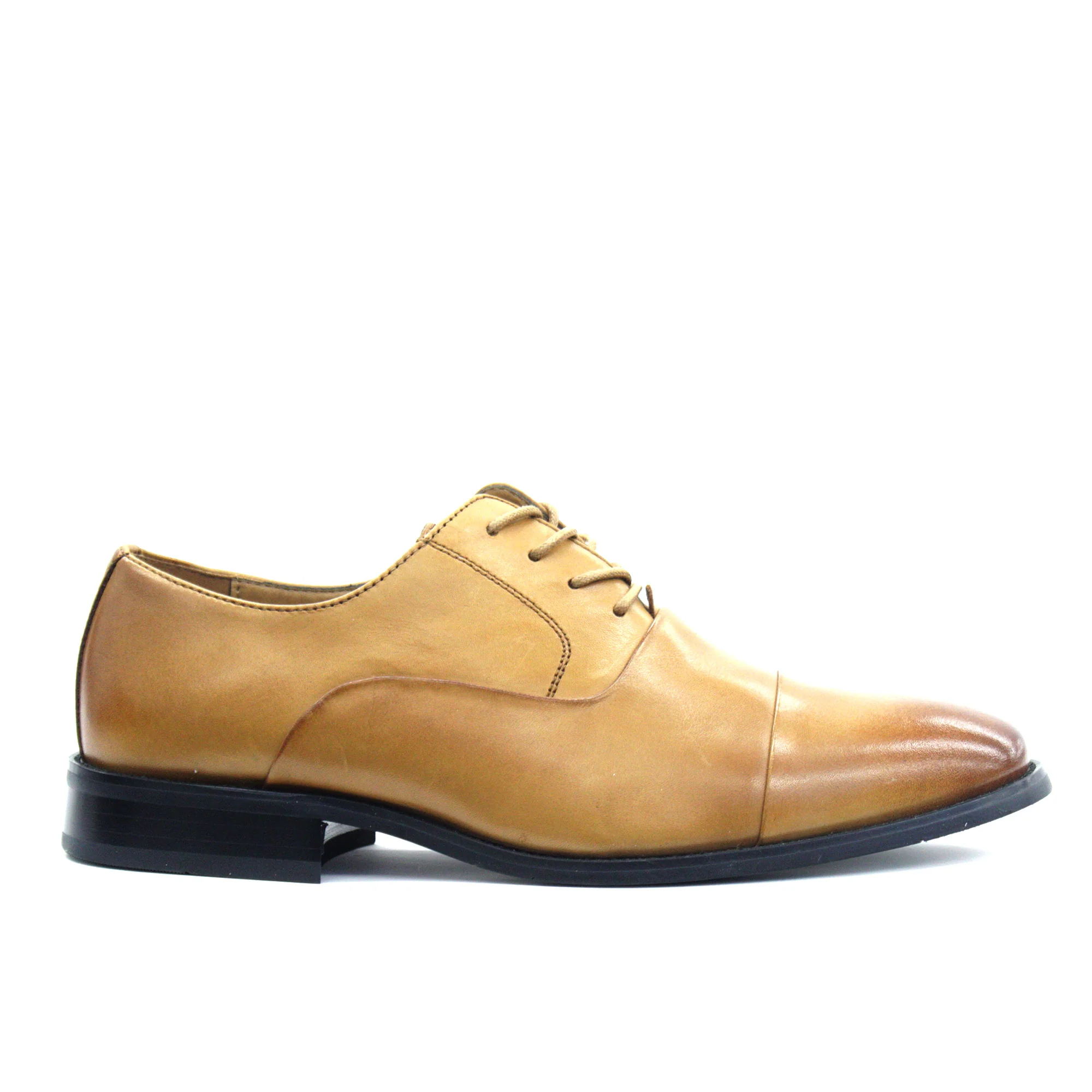 LA MILANO,CAP TOE-LACE UP-SHOES-A591-COGNAC